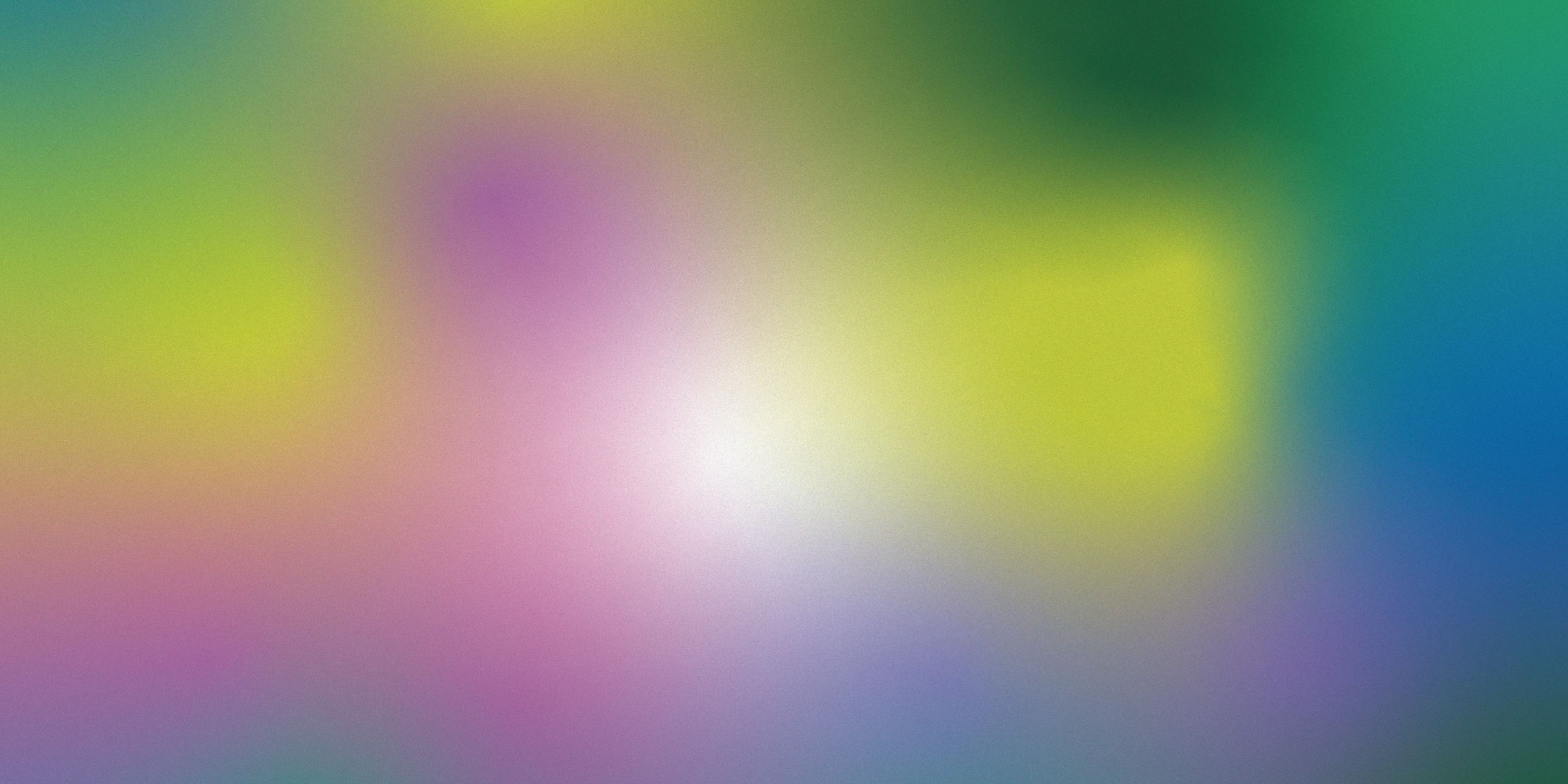 Υποτροφίες Ιδρύματος Schwarz για το ακαδημαϊκό έτος 2026-2027