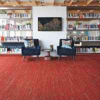 Visual Code Carpet Collection