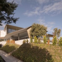 House Among Holm Oaks