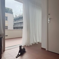 XT 97 - INTERWAR MODERN