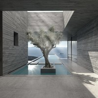 Lap Pool House