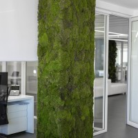 Green Line Energy Headquarters