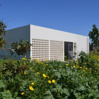 A House with Four Gardens