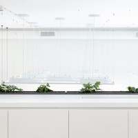 Ανακαίνιση Γραφείων Ασφαλιστικής Εταιρείας