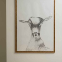 Sohora Villas | Contemporary Tourist Villas in Chania, Crete