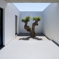 Olea house