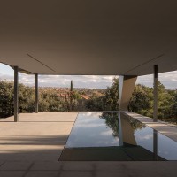 House Among Holm Oaks