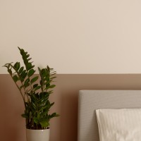 Phae Apartment | Ανακαίνιση χωρίς Ανακαίνιση