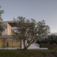 House Among Holm Oaks