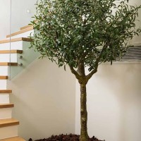 Sohora Villas | Contemporary Tourist Villas in Chania, Crete