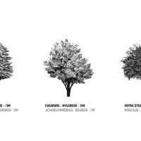 Ροές Ιστορίας | η βραβευμένη πρόταση του αρχιτεκτονικού διαγωνισμού προσχεδίων για την «Αισθητική ενοποίηση και λειτουργική αναβάθμιση υφιστάμενων πεζοδρόμων στη γειτονιά Πλάκα - Μοναστηράκι»